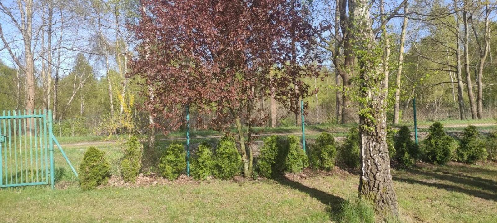 Lodge Barwy Lata
